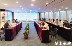 长沙县委统战部、县侨联组织召开“湘情·乡情”恳谈会