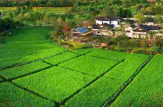 湖南日报｜双清“三联”监督护航乡村振兴