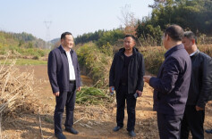 刘正仁开展四季度巡河、巡田、巡林工作