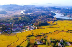 满足乡村振兴多样化融资需求 湖南农信破解“三农”融资难