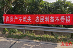 澧县复兴镇党建引领“三资”清理，赋能 经济发展