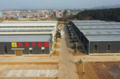 江华日日兴公司：迎来蔬菜出口新机遇抢占东盟市场高地