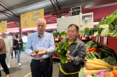 湘菜澳洲行②｜菜市场探“鲜”，湘菜盛宴即将亮相墨尔本