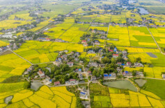 我国物流总额增速企稳回升 为乡村振兴提供强劲动能