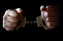 沅陵森林公安为百年古树“讨回公道”