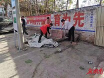 新田：整治集镇卫生环境 守护乡风文明