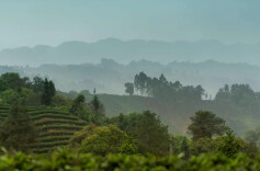 有一种奖赏，来自故乡