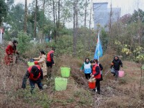 新田：红蓝马甲相映衬 志愿服务展风采