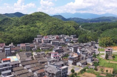 乡村振兴进行时｜龙归坪：村庄规划“一张图” 和美乡村展新颜