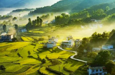 首个乡村振兴用地政策指南发布