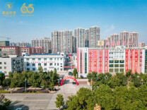 益阳茶厂有限公司建厂65周年庆典暨新品发布会举行