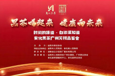 白沙溪邀您来安化黑茶广州芳村品鉴会揭秘“80后”神秘老茶