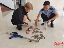 会同两男子非法捕杀野鸟被处罚