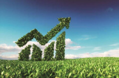 人民日报看湖南 | 绿色金融助推乡村振兴