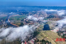 船湾镇：服装产业“装”点乡村振兴之路