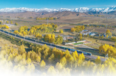 中欧班列深化中波互利共赢合作（共建“一带一路”·第一现场）