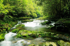 沅陵借母溪：深林美景藏传奇