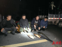 4人，近20公斤！桃源公安打掉一非法捕捞团伙