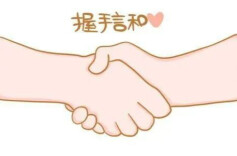 咨询服务起纠纷 法官调解定纷争