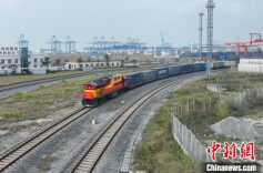 西部陆海新通道班列年开行突破9000列 构筑通陆联海开放“强磁场”