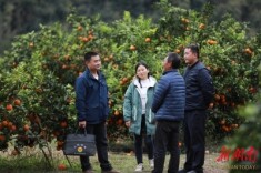 龙山县1600名人民调解员活跃在土家山寨