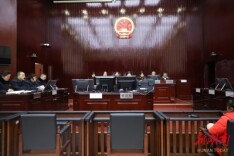 洞口公益诉讼对假药说不