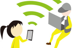 国家信息中心高频数据显示：就业回暖信号明显