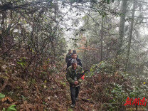 筑牢生态堡垒，花垣县森林公安局用“警察蓝”守护“生态绿”