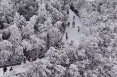 民政部：帮扶困难群众 确保因灾受困群众受助及时
