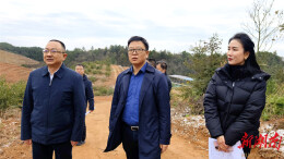 严守生态底线 为乡村振兴增添绿色动力