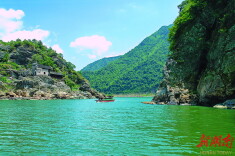 大新镇：玫瑰小镇产业旺 和美乡村文旅兴