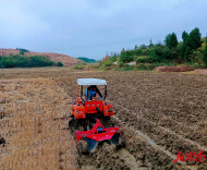 新田县陶岭镇：冬田深翻人不闲 千亩烟田“翻”新颜