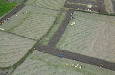 江华沱江镇茫海洲村:马蹄喜迎丰收 外商田间收购