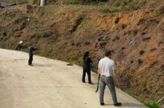 “野羊野猫”傻傻分不清楚？芷江一男子非法狩猎毛冠鹿、豹猫被查获