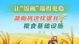 政策简读丨让“饭碗”端得更稳 湖南将这样提升粮食基础设施