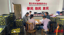 兴湘集团驻村工作队：铺就乡村“振兴路”，助力黄沙坪焕新颜