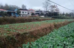 湖南省监狱管理局驻村工作队：按下助农“快进键” 跑出乡村振兴“加速度”