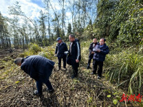 龙山森林公安深入开展“春风2023”专项行动