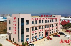 中铁五局：践行开路先锋使命 建造精品桂新高速