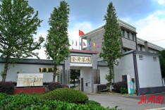 金井镇：茶香飘满村 腾飞正当时