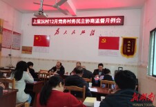 新田：监督让村务更清朗