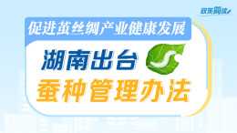 政策简读丨促进茧丝绸产业健康发展 湖南出台蚕种管理办法
