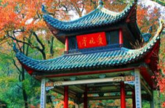 爱晚亭：“江山无限景 都聚一亭中”