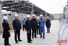 工信部原材料工业司司长常国武来云溪区调研