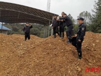 鼎城森林公安扎实推进生态警务成效显著