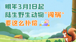 政策简读丨明年3月1日起 陆生野生动物“闯祸”要这么补偿