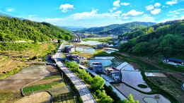 石牌镇：百合盛放绘锦绣 三产融合开蓝图