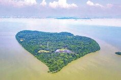 跟随杜甫游洞庭|君山：青草洞庭湖 东浮沧海漘