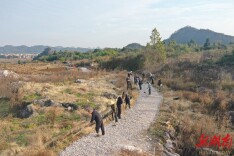 新田：我为群众办实事 全民参与齐修路