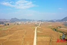 新田：冬日暖阳翻耕忙 大地“指纹”美如画（组图）